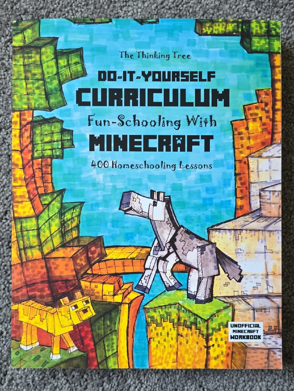 Do-It-Yourself Curriculum: Fun-Schooling with Minecraft Ages 9 - 12 ADHD Autism